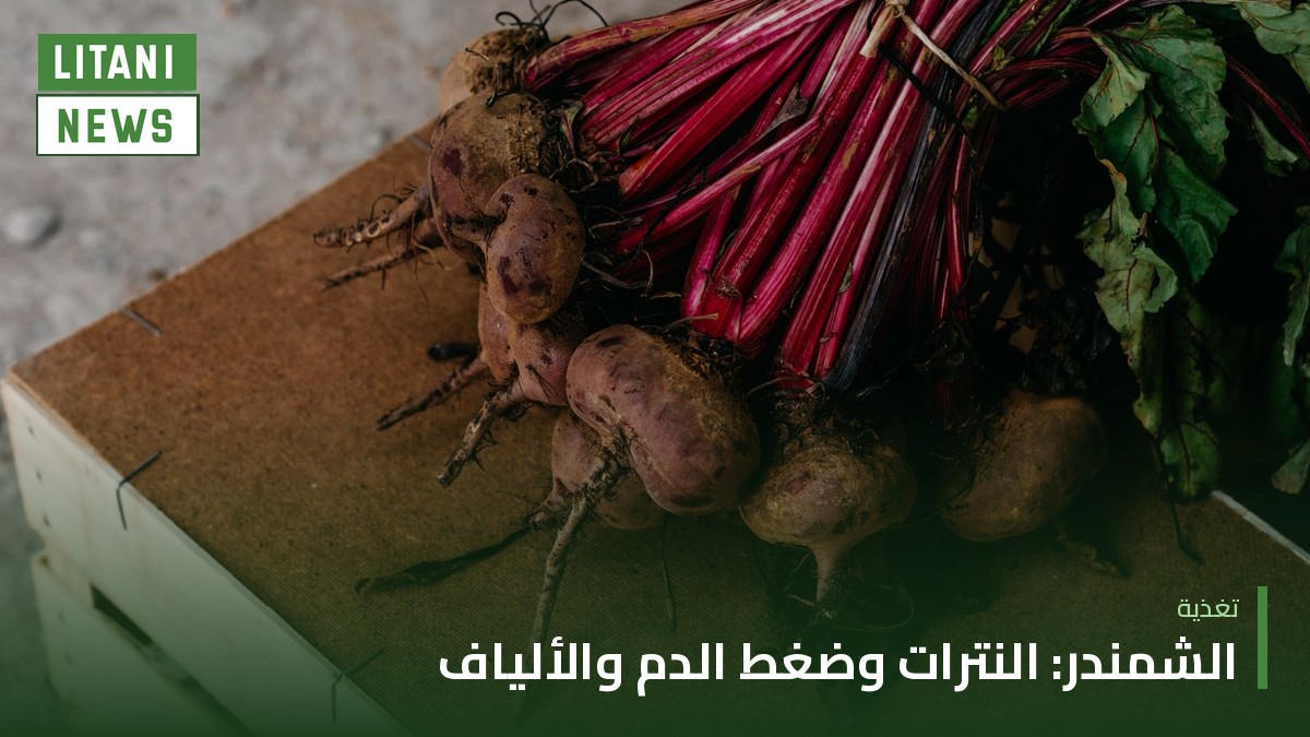 الشمندر: ما الذي تقوله الدراسات عن النترات وضغط الدم والألياف؟